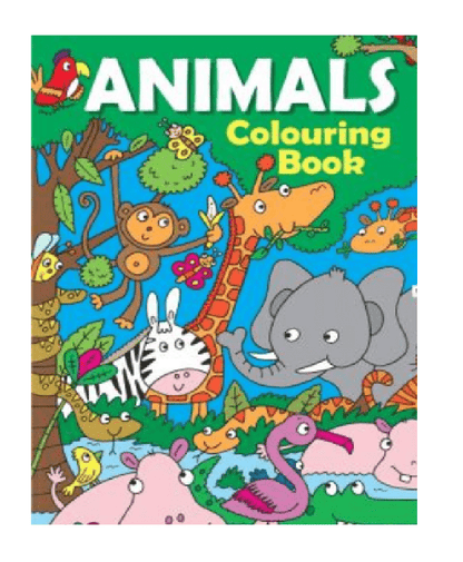 Colouring Book Boy Kids Activity Farm Pirates Animals Dinosaur A4